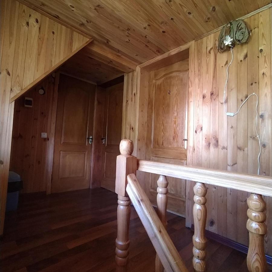 Мальва Daire Lazeshchyna Dış mekan fotoğraf